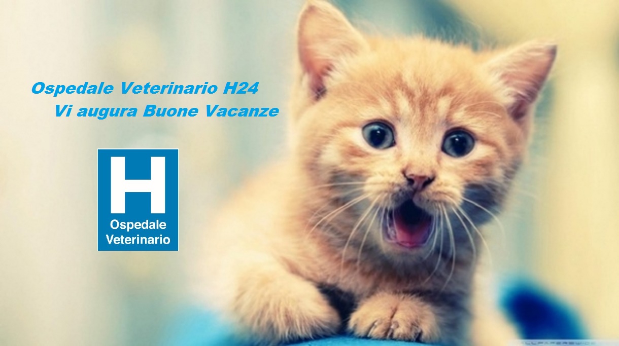 buone_vacanze_ospedale_veterinario_h24