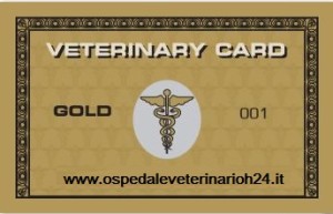 CARD ORO