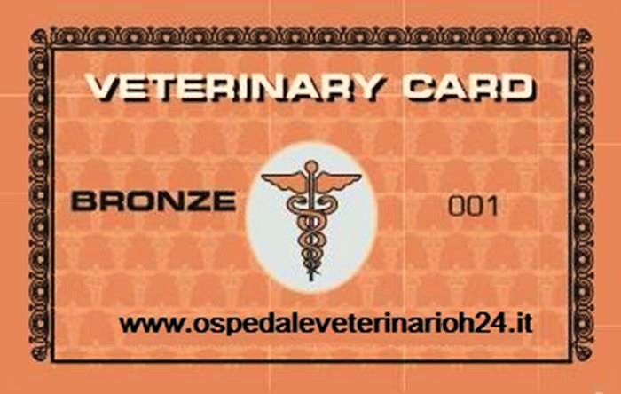 card Bronzo ospedale veterinario h 24