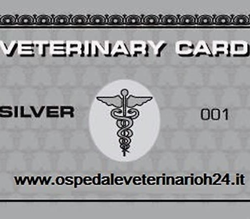 card argento ospedale veterinario h 24