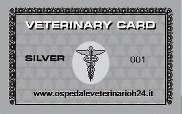 card argento ospedale veterinario h 24