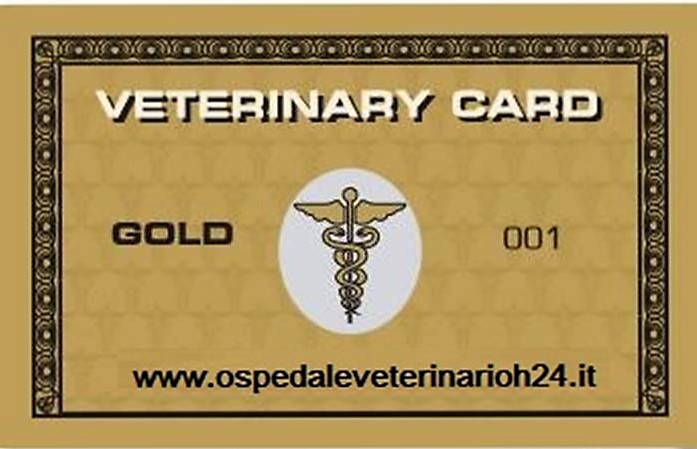 card oro ospedale veterinario h 24