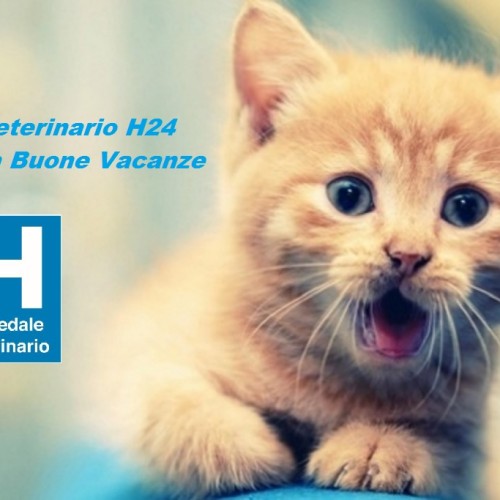 Ospedale Veterinario H24 Montichiari